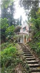 新店山中仰望銀河星空｜新北市新店區北宜路二段