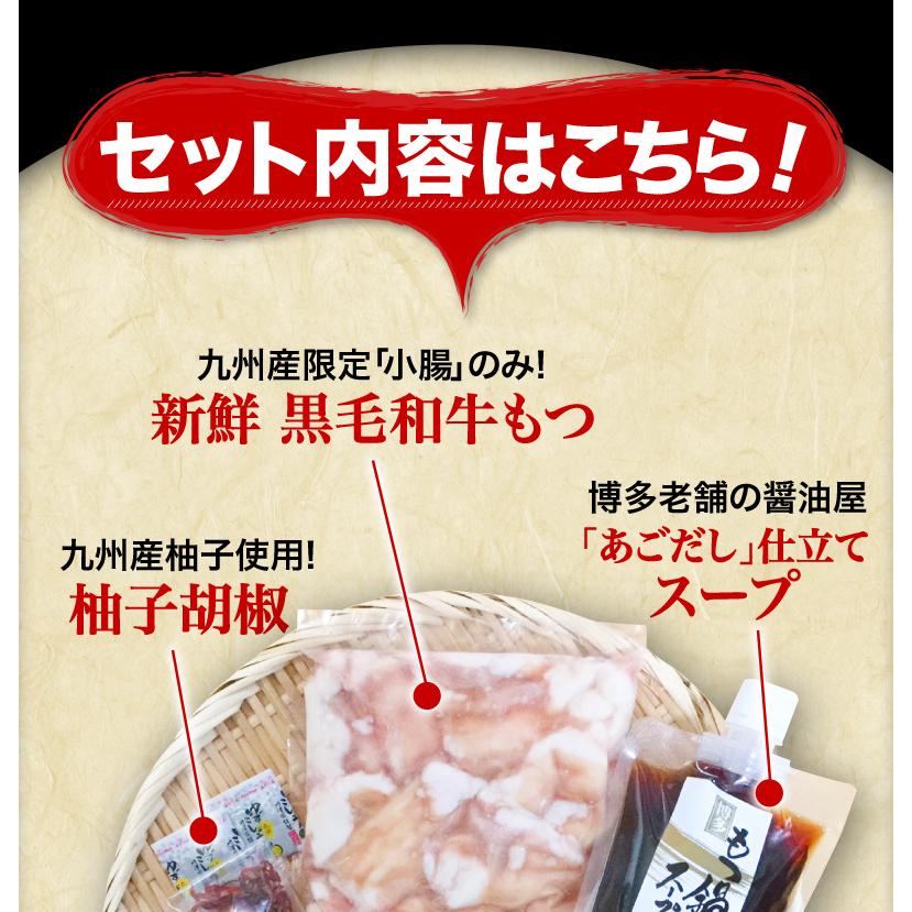 九州産黒毛和牛 もつ鍋お試しセット 1〜2人前 ちゃんぽん麺付き 小腸 コプチャン ホルモン 柚子胡椒 送料無料 グルメ クール