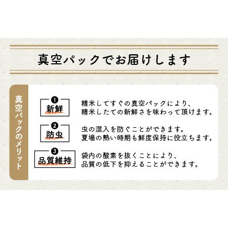 ふるさと納税 お米の女王！無農薬ミルキークイーン極16kg (2kg × 8袋)（玄米）【2023年10月上旬以降順次.. 福井県坂井市