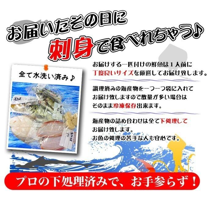 瀬戸内海産　海産物の詰め合わせ3人前5品セット　魚介類