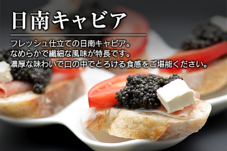 日南CAVIAR「キャビア」計20g　魚　魚介　国産 F10-191