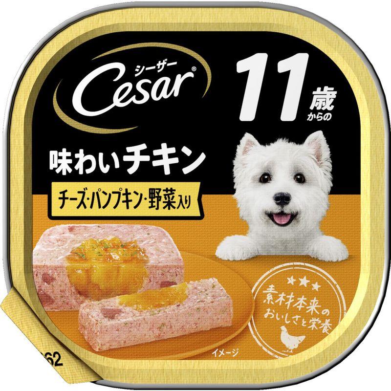 共立製薬 シルピナ その他 マルチカラー 犬 10ml×5本