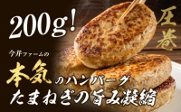 淡路島たまねぎどっさりジャンボハンバーグ 200g×12個