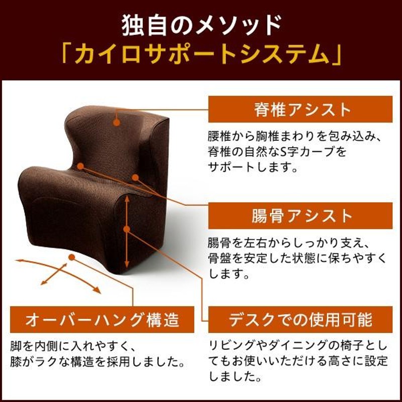 ポイント10倍！】 スタイル ドクターチェア プラス Style Dr.CHAIR