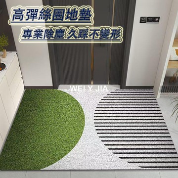 絲圈地墊 門口地墊 玄關地墊 浴室地墊 進門地墊 刮泥地墊 腳踏墊玄關 玄關地墊絲圈 刮泥蹭土 可裁剪 客製化 防滑地墊