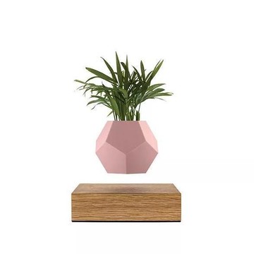 Flyte Lyfe 粉紅色 Skin