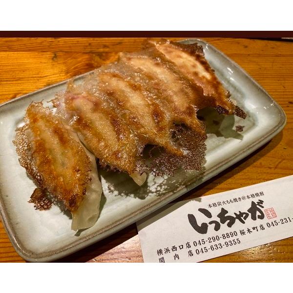 餃子　宮崎餃子　Ｂ級グルメ　国産　送料無料　3パック　10個入り  お取り寄せグルメ　 宮崎グルメ