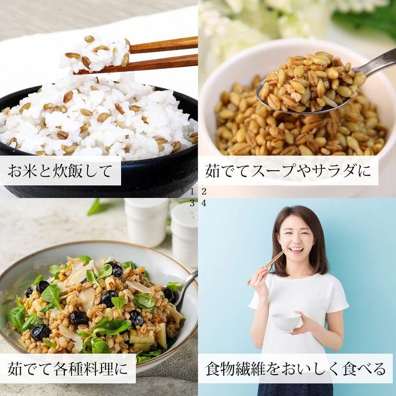 自然健康社 スーパー大麦 バーリーマックス 1kg 3つの食物繊維