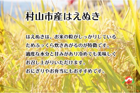 米 新米 20kg 5kg×4 はえぬき 精米 令和5年産 2023年産 山形県村山市産 ※沖縄・離島への配送不可 ja-haxxa20