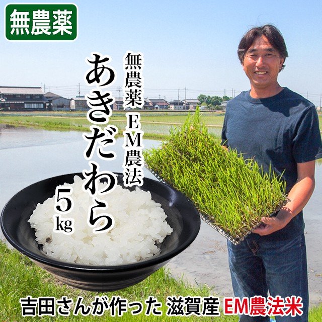 新米 米 お米 5kg あきだわら 無農薬 令和5年産 2023年産 吉田農園 滋賀県産 白米 玄米 送料無料