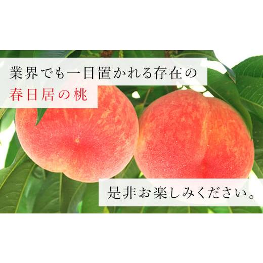 ふるさと納税 山梨県 笛吹市 ＜2024年先行予約＞≪山梨直送≫山梨産「春日居の桃」特秀品・中玉3玉×2箱 合計1.5kg 203-002