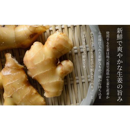 ふるさと納税 生姜の佃煮・生姜酢漬け 2種 計8個 佃煮 つくだ煮 セット 珍味 惣菜 生姜 しょうが 鹿児島 エスランドル 南さつ.. 鹿児島県南さつま市