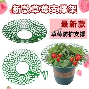【台灣出貨】草莓託盤架 防腐爛草莓支撐架 家庭種植草莓神器 園藝工具 五金用品 調整型