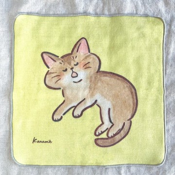 紗布毛巾 - 阿比西尼亞貓