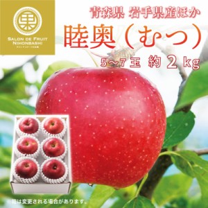 [予約 2023年12月1日-12月31日の納品] 陸奥 約2kg 5-7玉 大玉 青森県産 岩手県産ほか むつ りんご リンゴ 果実専用化粧箱