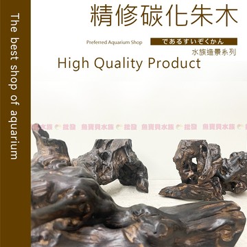 魚寶貝【精修-碳化朱木】鬼斧神工、獨一無二（珊瑚木、水族造景、珊瑚木、水族沉木、造景沉木、沈木、天然造景、水草沈木