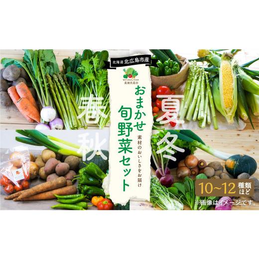 ふるさと納税 北海道 北広島市 おまかせ旬野菜セット 旬 野菜 セット 北海道 北広島市