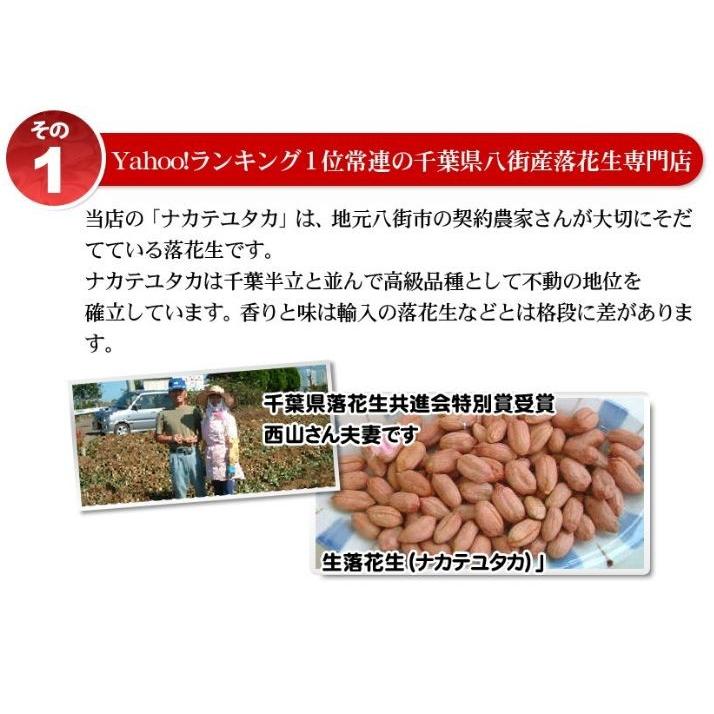 2023年度産 新豆 未調理なま落花生(ナカテユタカ)二等500g 千葉県八街産落花生