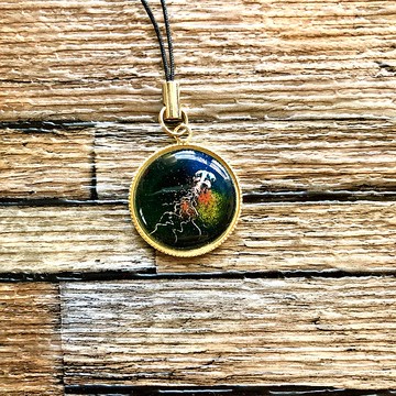 海底錶帶探險家