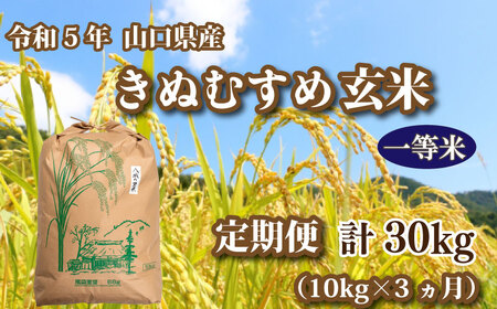 令和5年 山口県産 きぬむすめ 玄米 10kg×3回 GA011