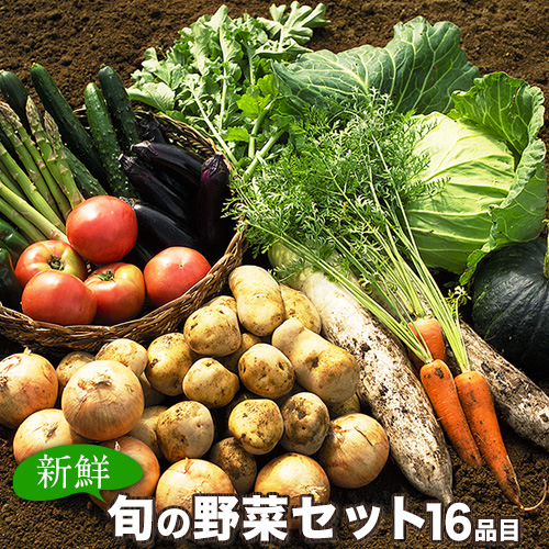 旬の新鮮野菜たっぷり16品セット 《30日以内に順次出荷(土日祝除く)》 ★熊本県御船町産を中心とした旬の野菜セット 冷蔵 詰め合わせ 季節の野菜 安心・安全の野菜セット