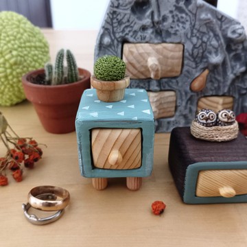 帶仙人掌的微型木箱