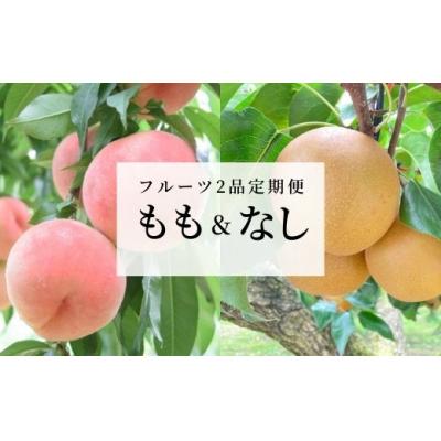 ふるさと納税 福島市 フルーツ2品定期便 もも・なし各約2kgNo.1633