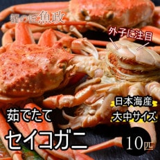 蟹の匠　魚政の内子外子が美味!　茹でたて　セイコガニ大中サイズ　10匹