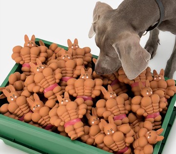 【肌肉兔】乳膠耐咬解壓發聲玩偶