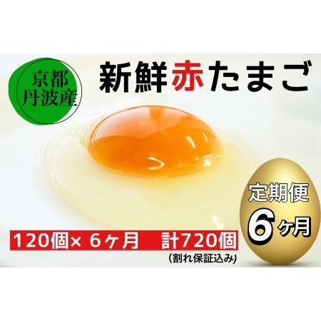 ふるさと納税 新鮮 卵 京都・丹波の赤たまご 120個（100個＋割れ保障20個）×6ヶ月 計720個 《生卵 たまご 鶏卵 小分け 半年間.. 京都府亀岡市