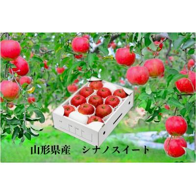 ふるさと納税 山形県 山形県産　りんご(シナノスイート)化粧箱入り　約3kg(8〜11玉)