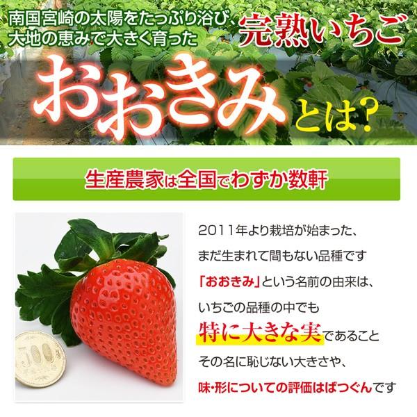 宮崎県産 大粒いちご 380g以上(1粒あたり30〜39g) 日付指定不可 いちご イチゴ 苺