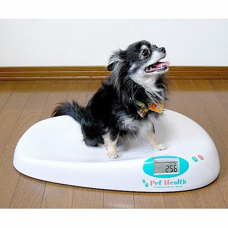 ペットヘルス Pet Helth ペット用体重計 10g単位 ペットスケール 小型犬 中型犬用 猫用 通販 Lineポイント最大0 5 Get Lineショッピング