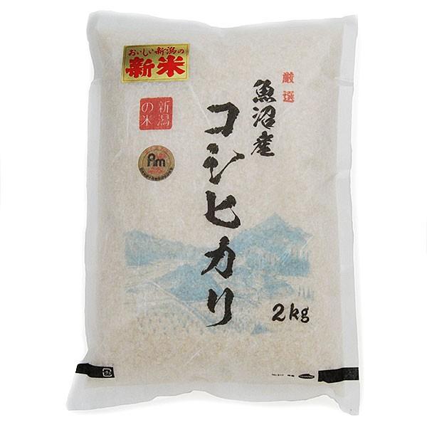 魚沼産コシヒカリ コシヒカリ 10kg 新潟コシヒカリ 魚沼産 10キロ 10kg (２キロ×５袋) 令和4年 プレゼント