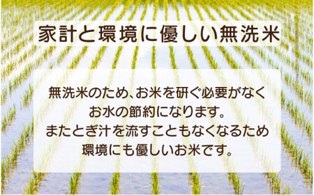 [051-k001] 定期便 ≪12ヶ月連続お届け≫無洗米 ふるさと福井県産 コシヒカリ 5kg × 12回（計60kg）