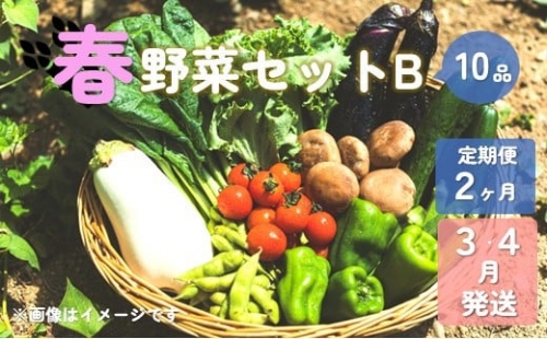 春野菜セットB 10品 以上 季節 旬 春 野菜 葉物 果菜 根菜 冷蔵 野菜室 ダイエット 食 栄養食 加工品 岩手県産 北上産 季節限定 稀少 数量限定 タラの うど こごみ うるい アスパラガス カラー 人参 菜花 ほうれん草 小松菜 チンゲン菜 長ねぎ レタス リーフレタス 水菜 ブロッコリー きゅうり ベビーリーフ