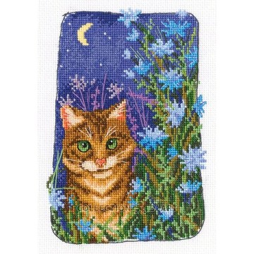 RTO - C352 農園快照 - 貓