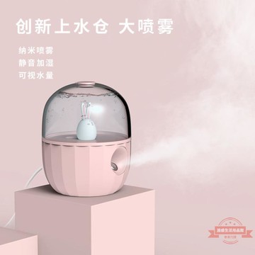 寵物噴霧USB加濕器辦公室臥室桌面迷你噴霧充電家用補水儀加濕器