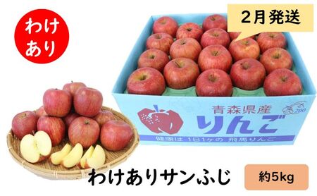 2月発送「わけあり」サンふじ　約5kg