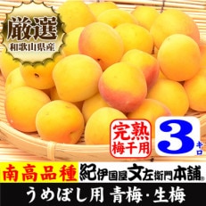 厳選南高梅 フレッシュ青梅(生梅)3kg 大サイズ 朝採り手選別 黄色 南高梅 梅干用