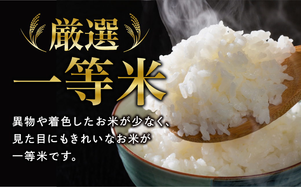 新米 玄米 コシヒカリ 30kg お米 贈答 美味しい 米 kome コメ ご飯 特A ランク 一等米 単一米 精米 玄米 国産 福島県 田村市 柳商 N78-RG33-K30