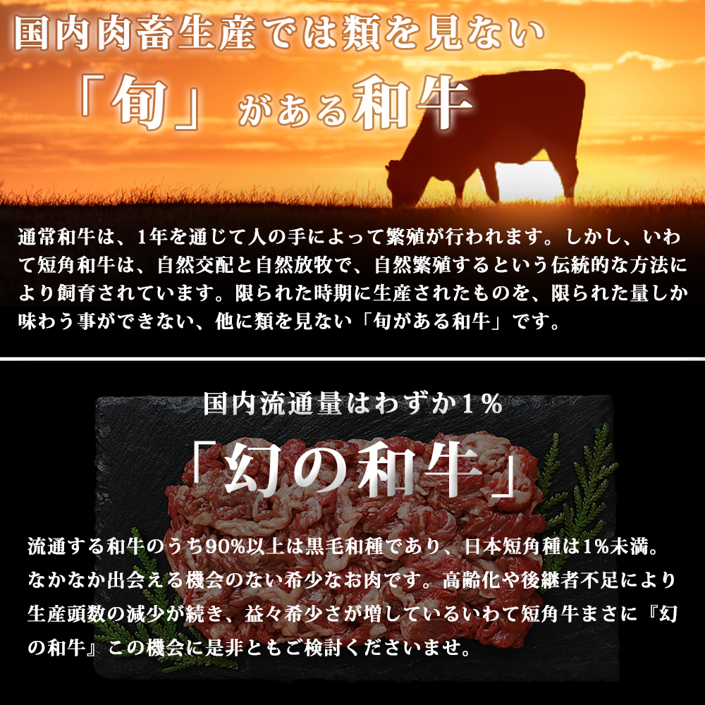 短角牛 切り落とし 500g 肉 牛肉 赤身肉 和牛 岩手県産 いわて短角和牛 250g×2パック