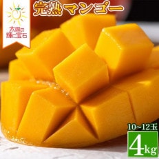 生産者直送の完熟濃厚アップルマンゴー4kg(10～12玉)