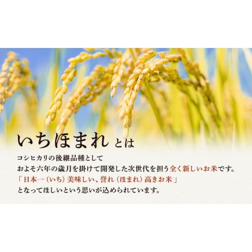 ふるさと納税 福井県 若狭町 無洗米 令和５年産 いちほまれ 10kg 福井 高級ブランド米 お米 おこめ 米 コメ こめ 白米 精米 ご飯 ごはん 福井県 [No.5580-0724…