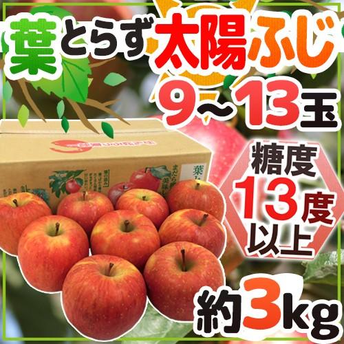 りんご 青森産 JAつがる弘前 ”葉とらず太陽ふじりんご” 9〜13玉 約3kg