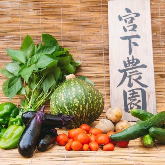 野菜 セット・詰め合わせ お得な野菜セット　Lサイズ 産地直送