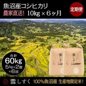 ふるさと納税 定期便！魚沼産コシヒカリ毎月10kg×6回 新潟県十日町市