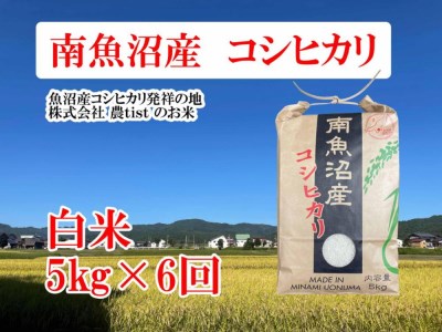  コシヒカリ 白米５kg×６回