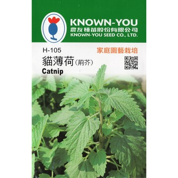 【拈花微笑】貓薄荷｜香藥草種子｜非基因改造種子｜蔬菜｜蔬果｜有機無毒｜高發芽率