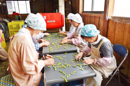 だだちゃ豆(3品種食べ比べ)　1.5kg×3回　小池喜左衛門ファーム　枝豆　定期便